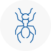 Ant Removals In Ramsgate