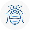 Bed Bug Extermination In Ramsgate