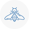 Bee Nest Removal Ramsgate