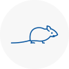 Mice Exterminators In Ramsgate