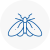 Moth Control Specialists In Ramsgate