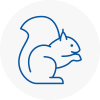 Ramsgate Rodent Removals